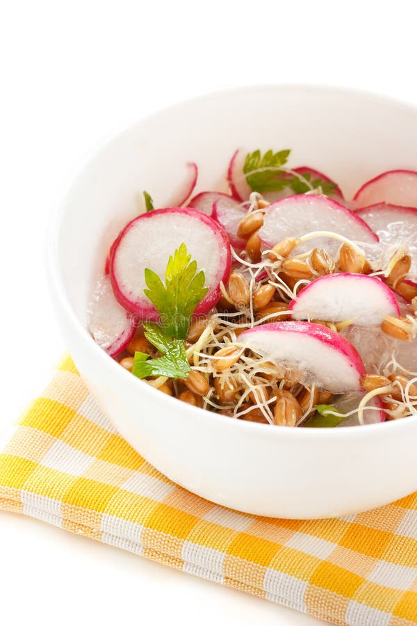 Spring salad. stock image