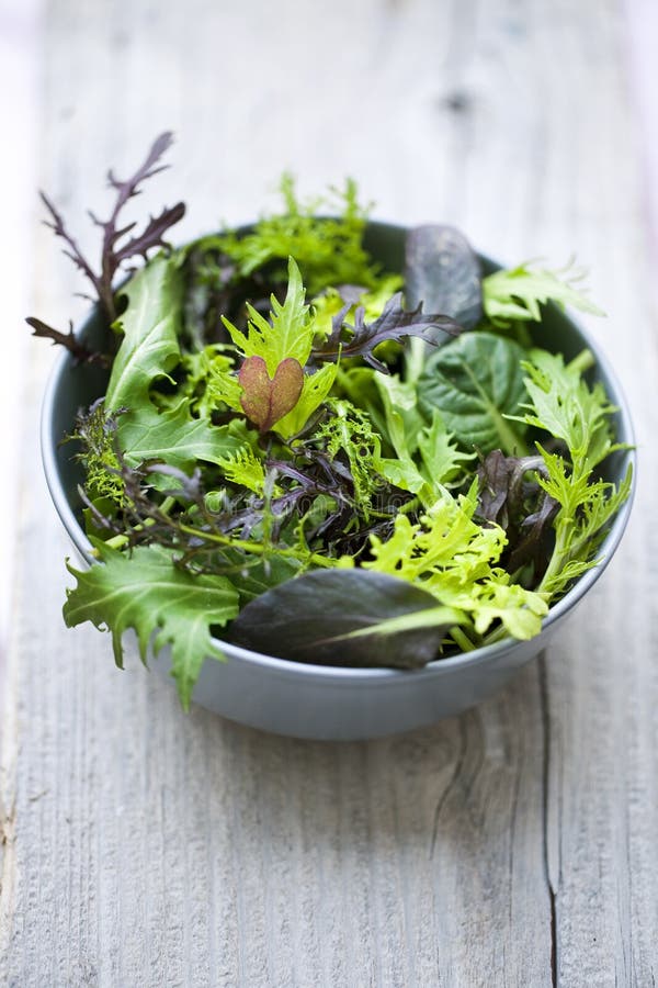 Spring salad stock image