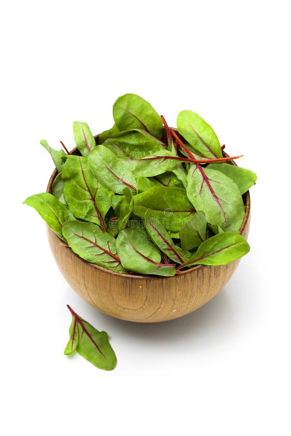 Spring salad royalty free stock photos