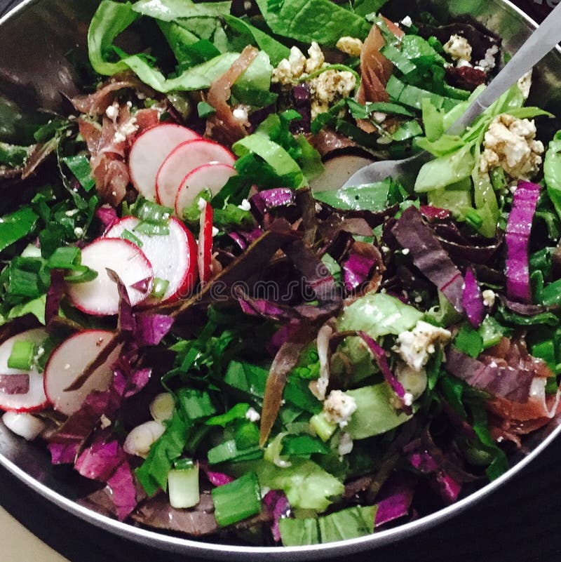 Spring salad royalty free stock image