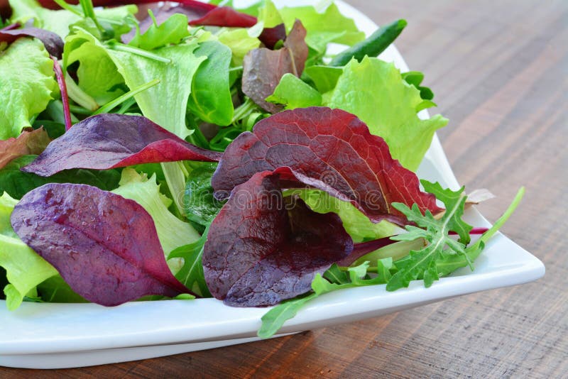 Spring salad of mixed greens closeup