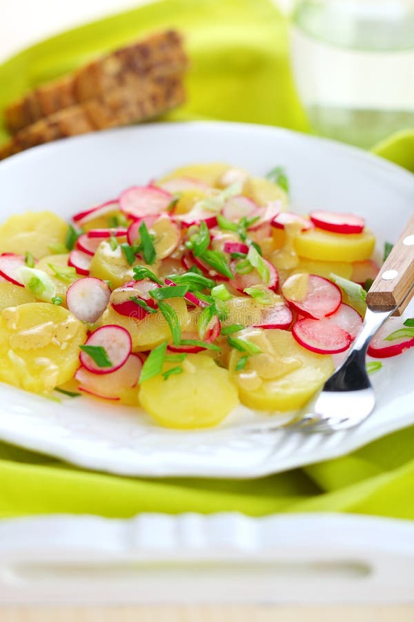 Spring salad with radishes royalty free stock images