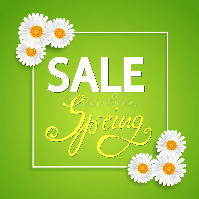 Spring sale banner, with chamomiles, lettering-spring.