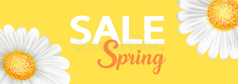 Spring sale banner, with chamomiles, lettering-sale spring.