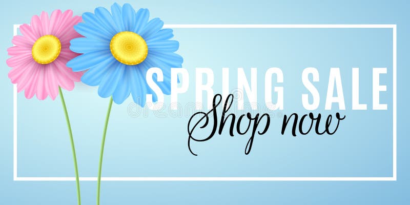 Spring sale. Seasonal shopping. Advertising web banner. Pink and blue chamomile flowers in frame on a blue background. Vector illu