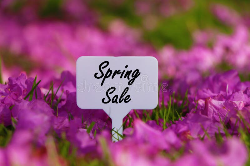 Spring sale quote. stock photo