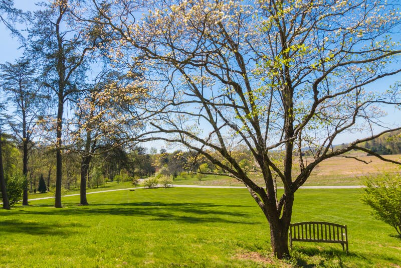 Spring season in park. stock photos