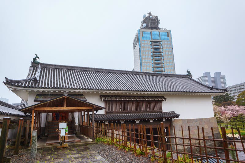 Spring season with sakura cherry blossom during raining in Sumpu castle at Shizuoka prefecture, Japan