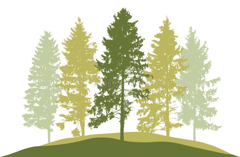 Spring season, silhouette of spruce trees. Beautiful nature, woodland. Vector illustration royalty free illustration Spring season, silhouette of spruce trees. Beautiful nature, woodland. Vector illustration royalty free illustration