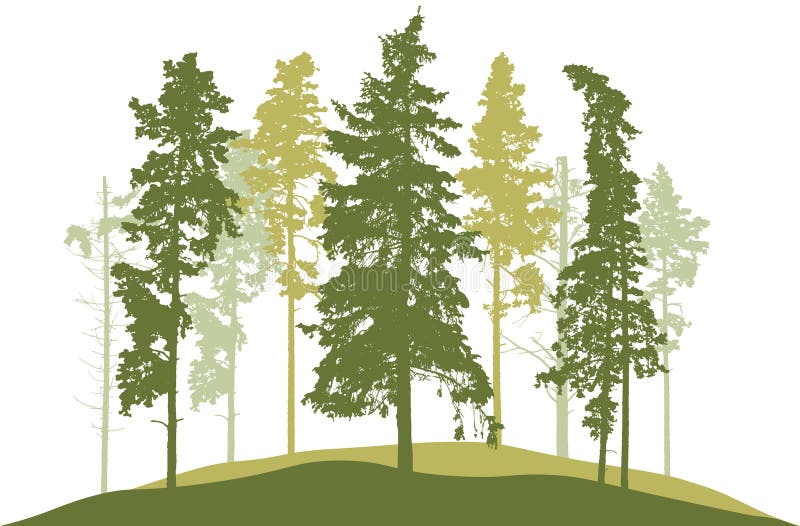 Spring season, silhouette of spruce trees, pines. Beautiful nature, woodland. Vector illustration vector illustration Spring season, silhouette of spruce trees, pines. Beautiful nature, woodland. Vector illustration vector illustration