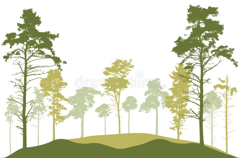 Spring season, silhouette of spruce trees, pines. Beautiful nature, woodland. Vector illustration royalty free illustration Spring season, silhouette of spruce trees, pines. Beautiful nature, woodland. Vector illustration royalty free illustration