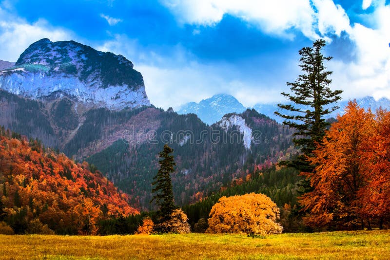 Spring in Slovakia