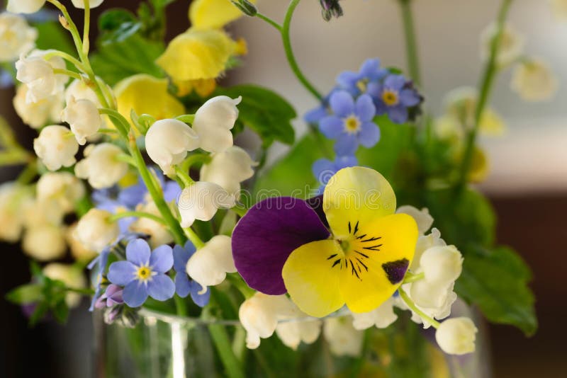 Spring small flowers stock photo. Image of botany, blossom 92419732