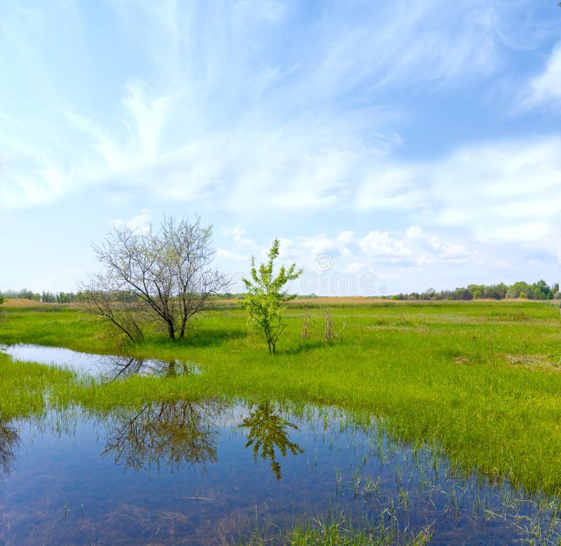 Spring in steppe stock photo