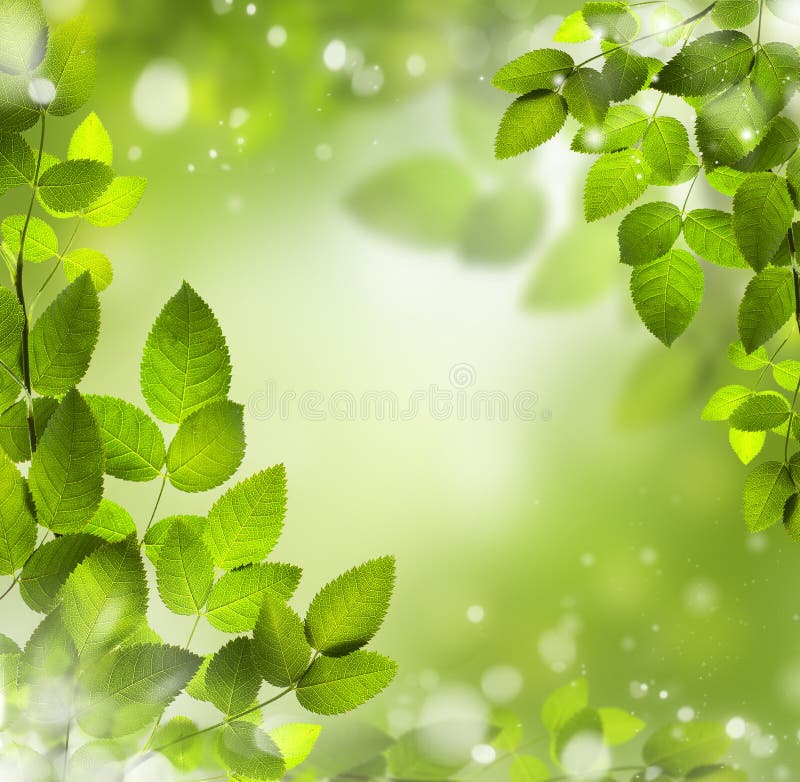 Spring or Summer Abstract Background with Bokeh Lights. Stock Photo ...