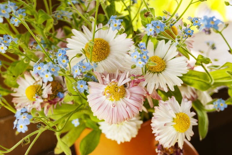 spring summer flowers in a clay mug on the background of green garden