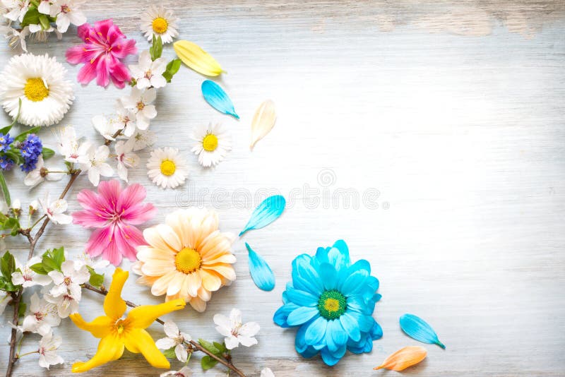 5,817,028 Flower Background Stock Photos - Free & Royalty-Free Stock Photos  from Dreamstime