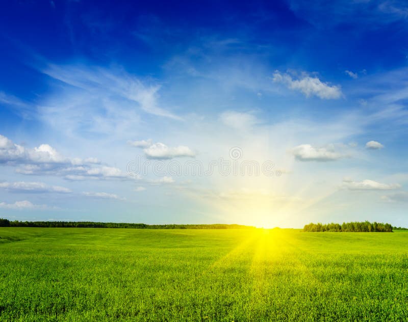 Spring summer background - green grass field meadow scenery landscape with blue sky. Spring summer background - green grass field meadow scenery landscape with blue sky