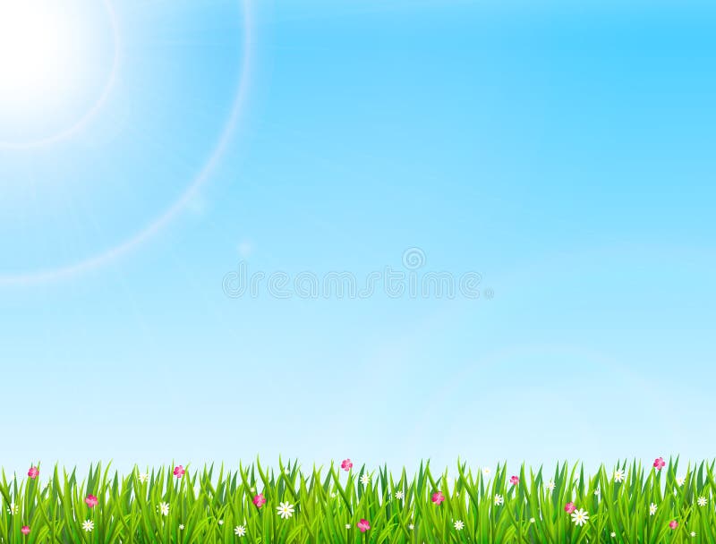 Summer Meadow Landscape With Green Grass Flowers Hills And Sun Vector Illustration Stock Vector Illustration Of Idyllic Chamomile 146379923