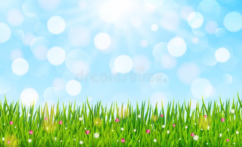 Spring Nature Background with Green Grass and Blooming Tree. Vector ...