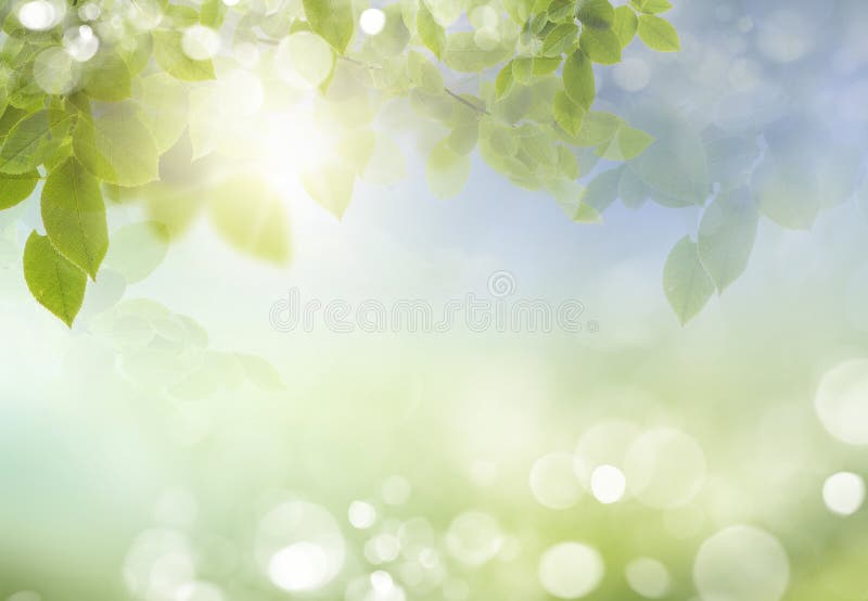 Spring or summer season abstract nature background