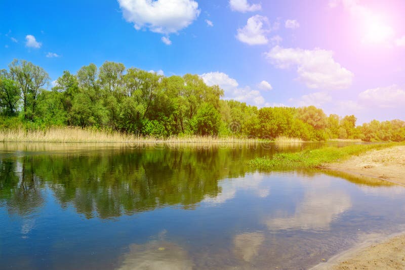 Spring Sunny Day on the River Bank. Stock Photo - Image of idyllic ...