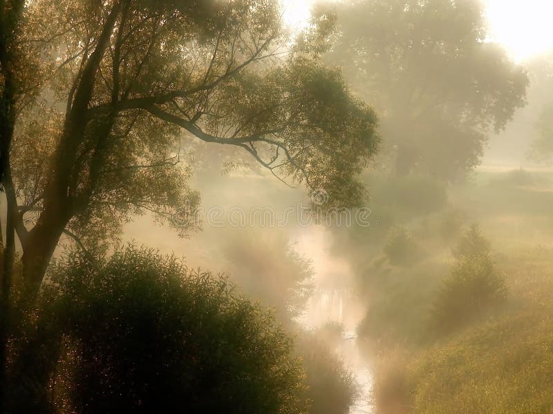 Spring sunrise with meadow in the fog stock photos