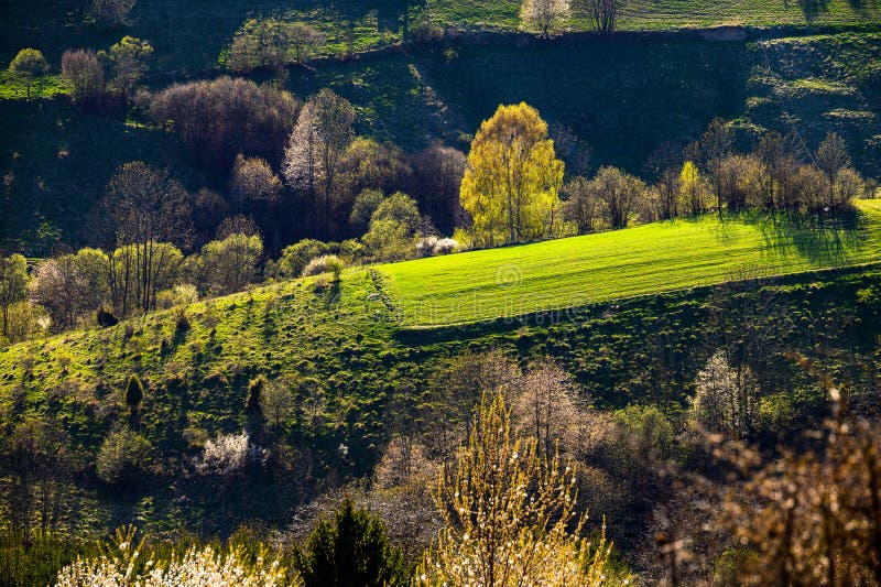 Spring time in beautiful agricultural landscape, green farm fields for animals and growing vegetables. Carpathian mountains,