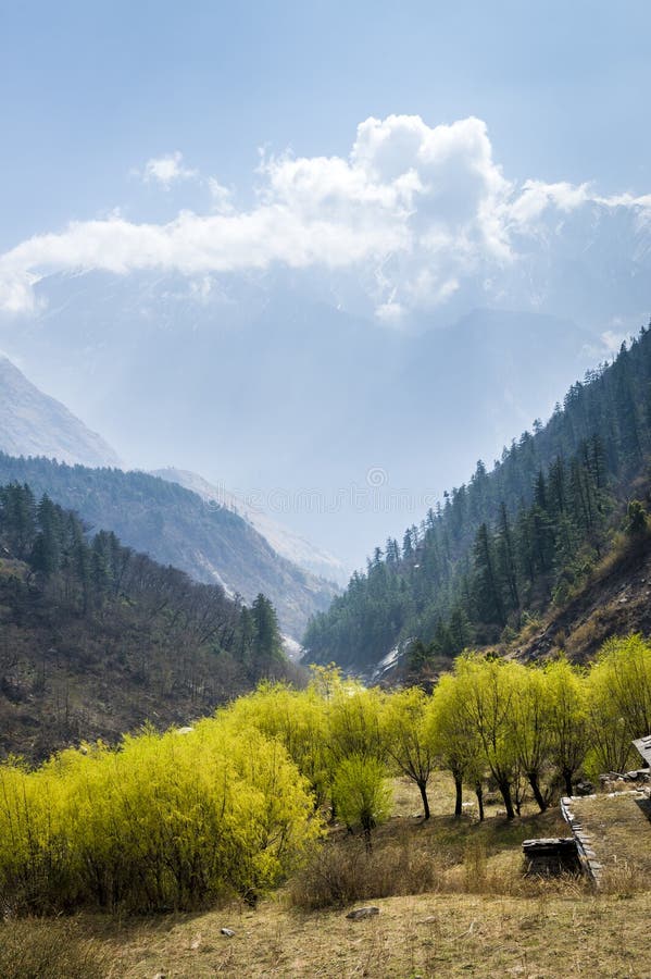 Spring time in Himalaya mountains, Nepal