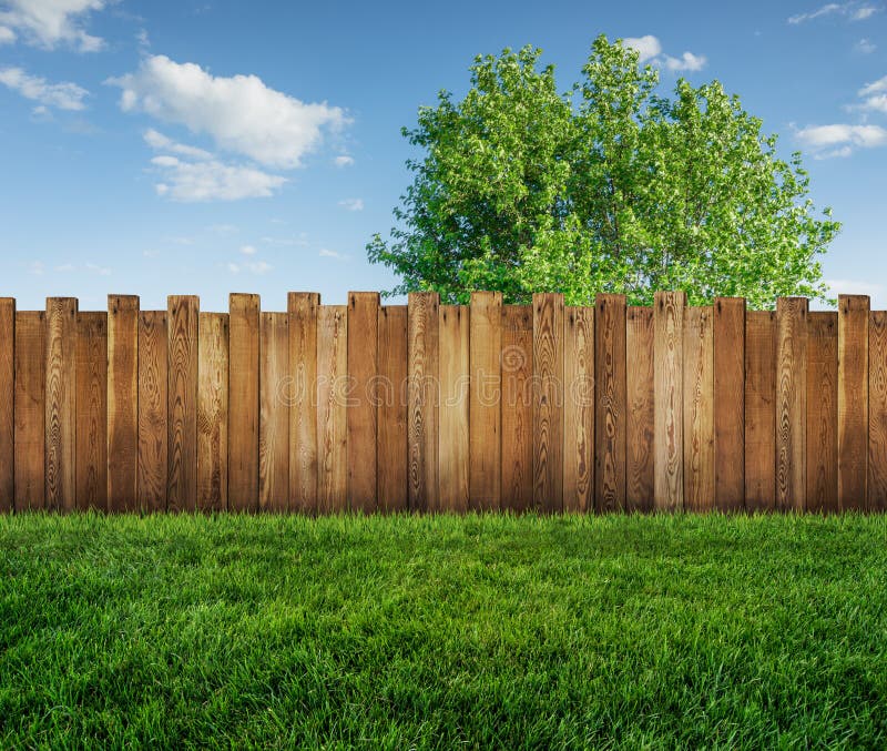 Spring tree in backyard and wooden fence royalty free stock photography Spring tree in backyard and wooden fence royalty free stock photography