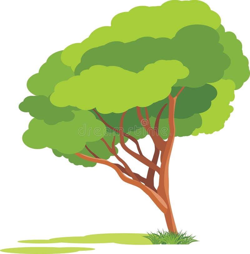 Spring tree isolated on the white background royalty free illustration