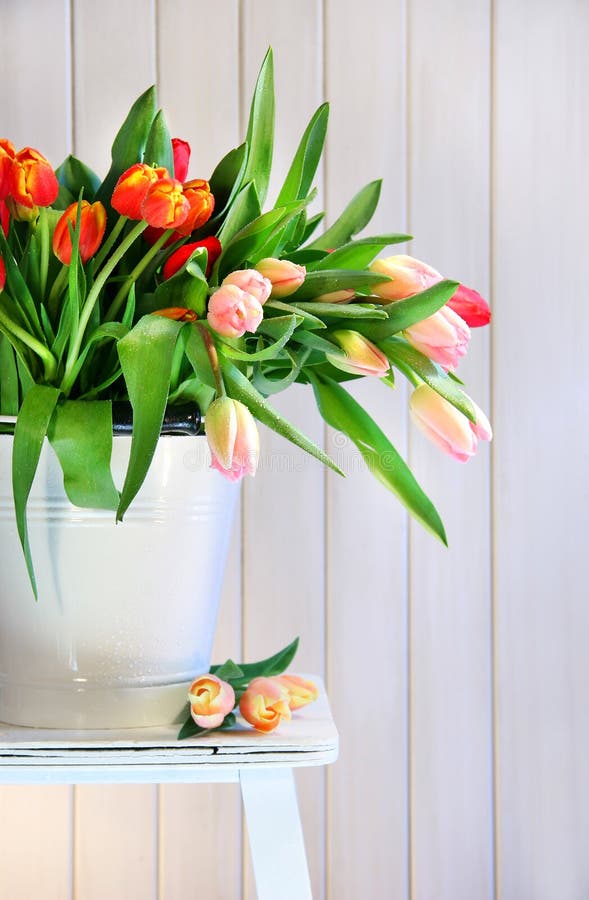 Spring tulips on an old bench