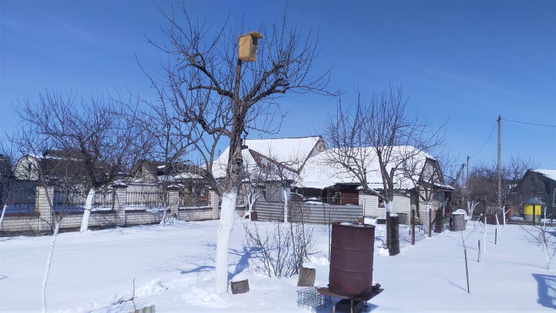 In the spring after an unexpected snowfall, the homestead plot and the roof of the barn are covered with snow. The trunks of the t royalty free stock photo