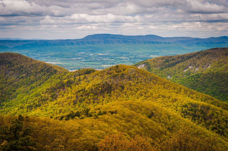 Spring View of the Blue Ridge Mountains and Shenandoah Valley, F Stock