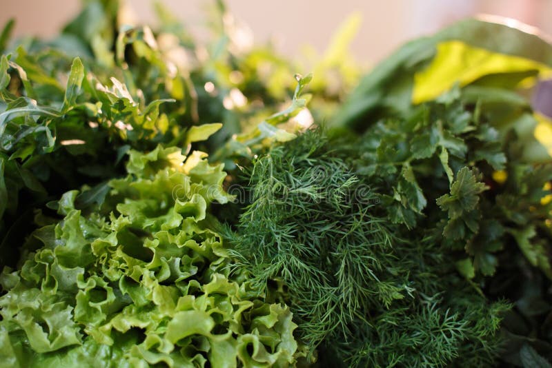 Spring Vitamin Set of Various Green Leafy Vegetables on the Table