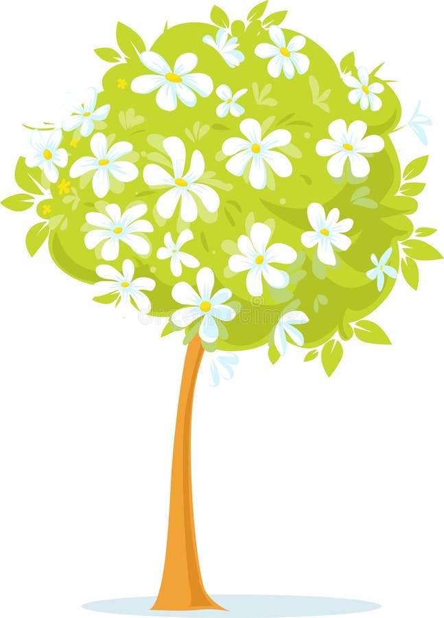 Spring White Flower Tree or Blooming Apple Tree - Vector royalty free illustration