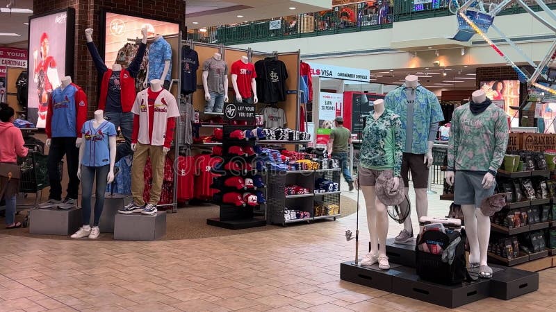 A Display of St. Louis Cardinals and Chicago Cubs Baseball Clothing for  Sale at the Scheels Sporting Goods Store in Springfield, Stock Footage -  Video of artwork, scheels: 247740038