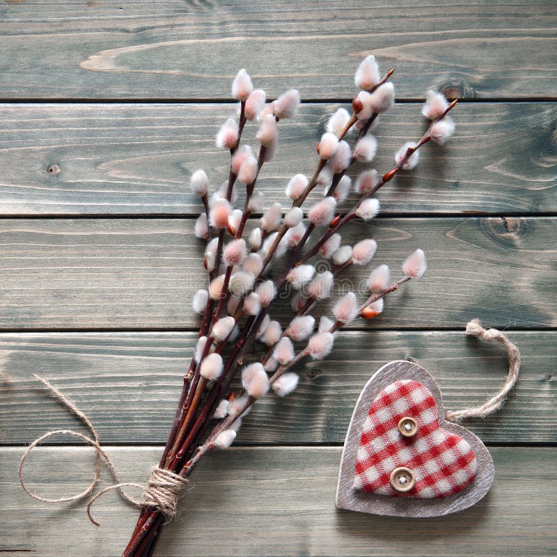 Springtime Background With Bunch Of Pussy Willow And Wooden Hear Stock