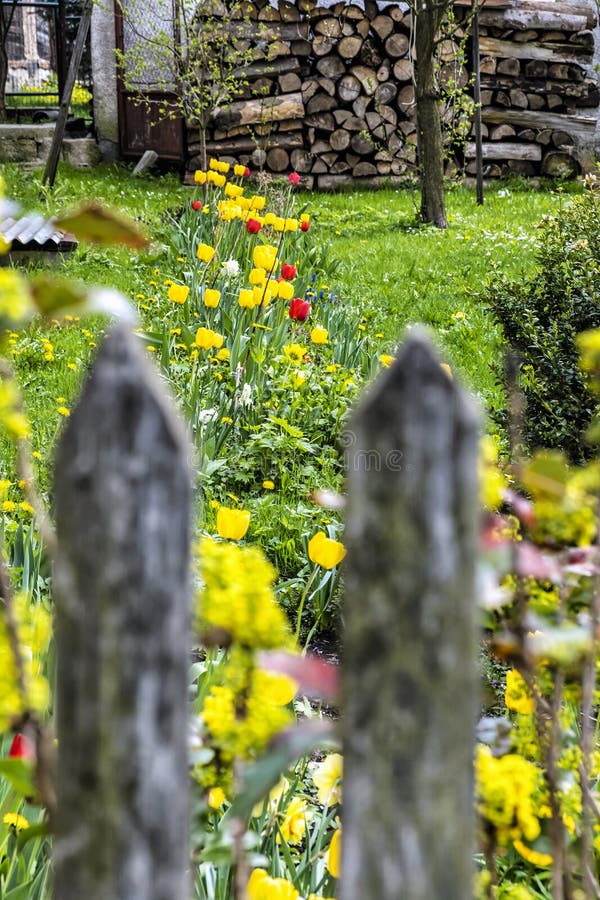 Jar v záhrade, Čičmany, Slovensko