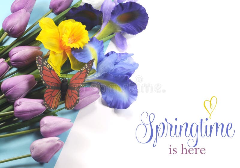 Springtime is Here sample text on white background with Spring flowers