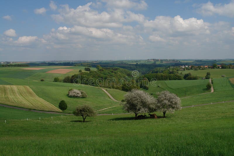 Springtime Hills