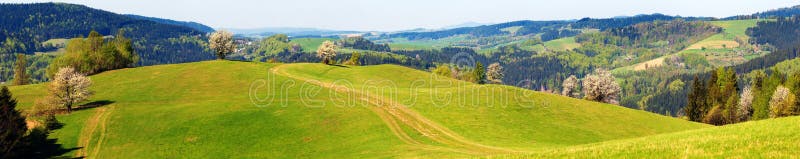 Springtime view from Carpathian Mountains