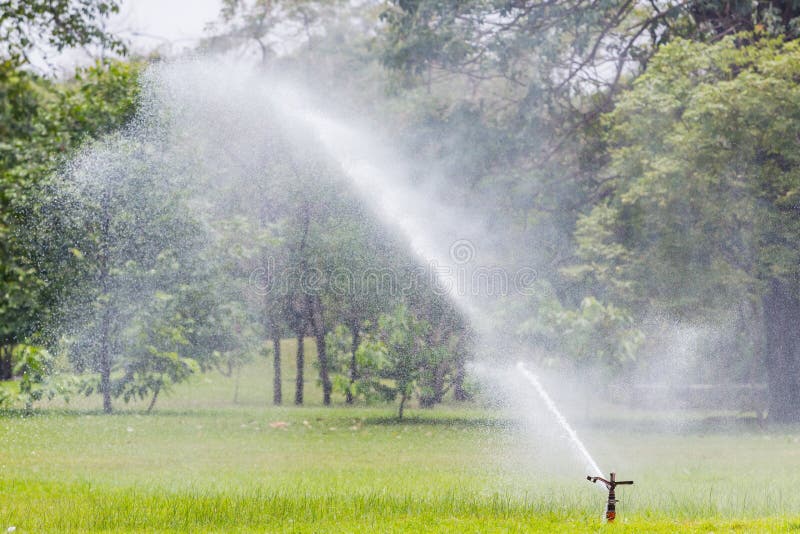 Sprinkle royalty free stock photo