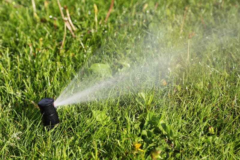 Sprinkler aiding water distribution to lawn