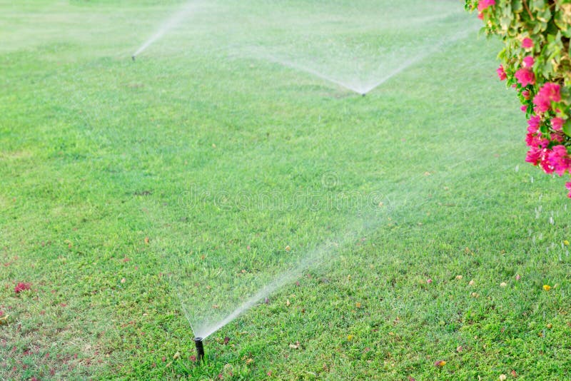 Sprinkler in Garden Watering the Lawn. Automatic Watering Lawns Concept