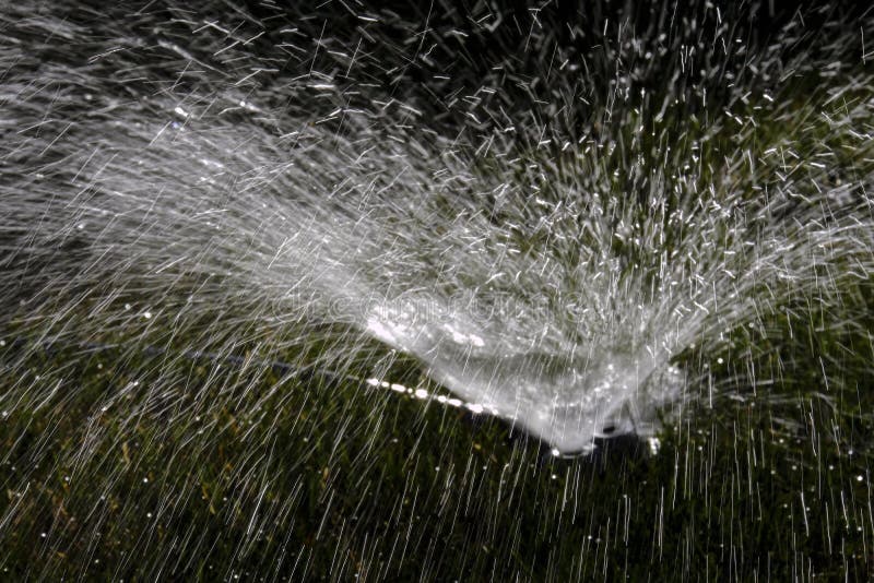 Sprinkler on the grass stock photo. Image of sprinkler 692158