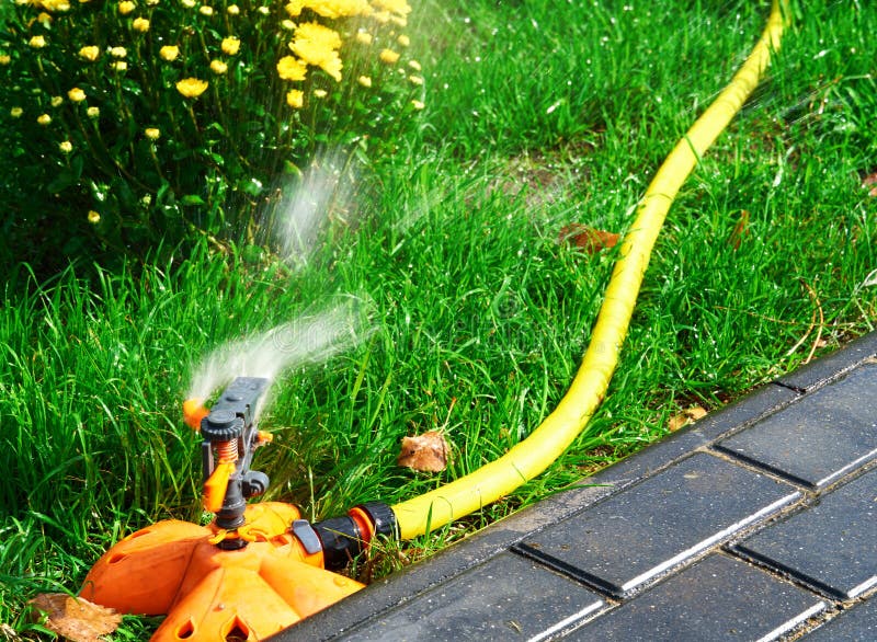 Sprinkler head of automatic watering the bush, grass and lawn. Spraying water over green grass. Irrigation system stock images Sprinkler head of automatic watering the bush, grass and lawn. Spraying water over green grass. Irrigation system stock images
