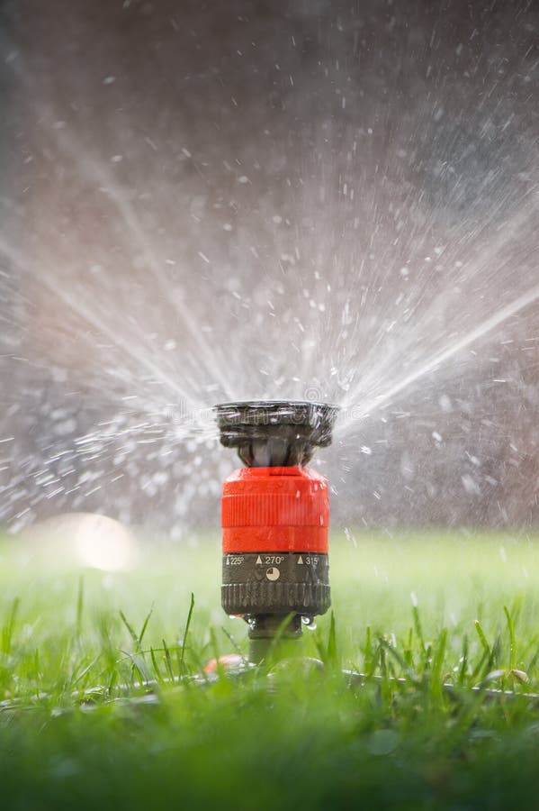 Sprinkler Head Spraying Water Stock Photo Image of growth, lawn 56852068