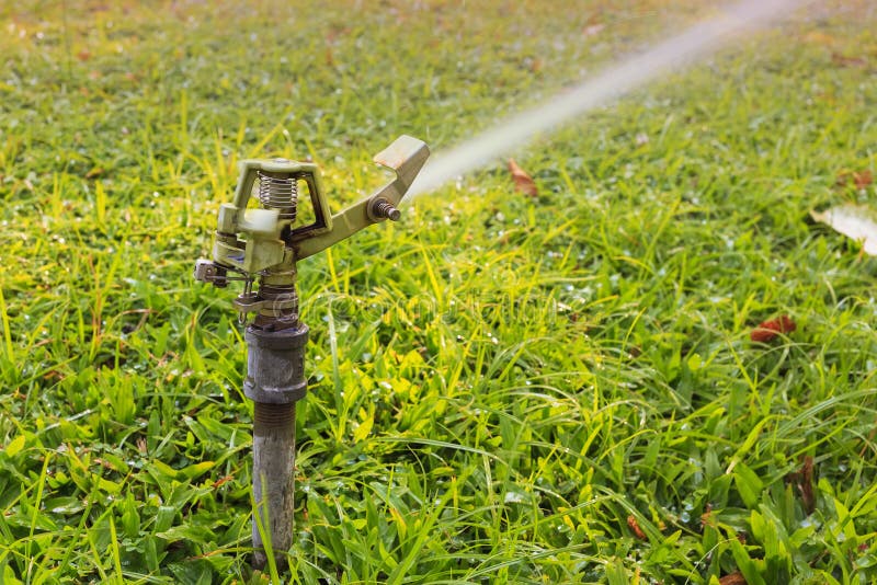 Sprinkler Head Watering the Flowers and Grass Stock Photo Image of