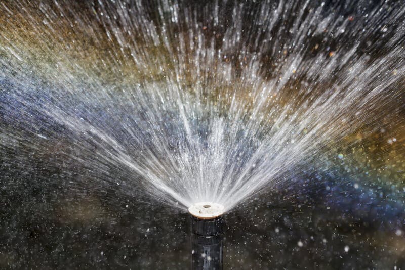 Sprinkler Head Watering the Bush Stock Photo Image of shoot, moisture